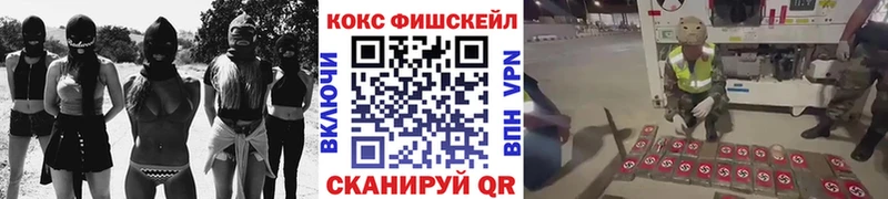 Cocaine Fish Scale  Купить  Хотьково 