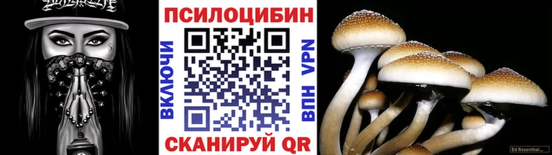 Галлюциногенные грибы Psilocybine cubensis  Купить где  Хотьково 